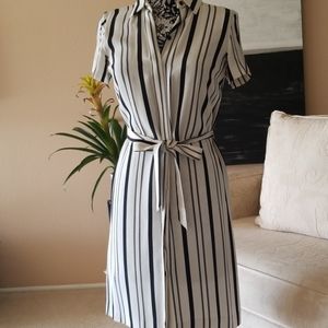 Ann Taylor Shirt dress